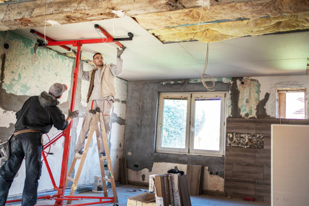 Best Cellulose Insulation  in Vine Hill, CA