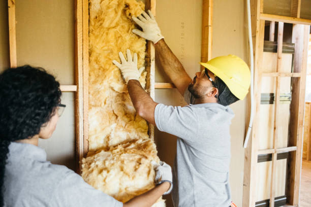 Best Wall Insulation Contractor  in Vine Hill, CA